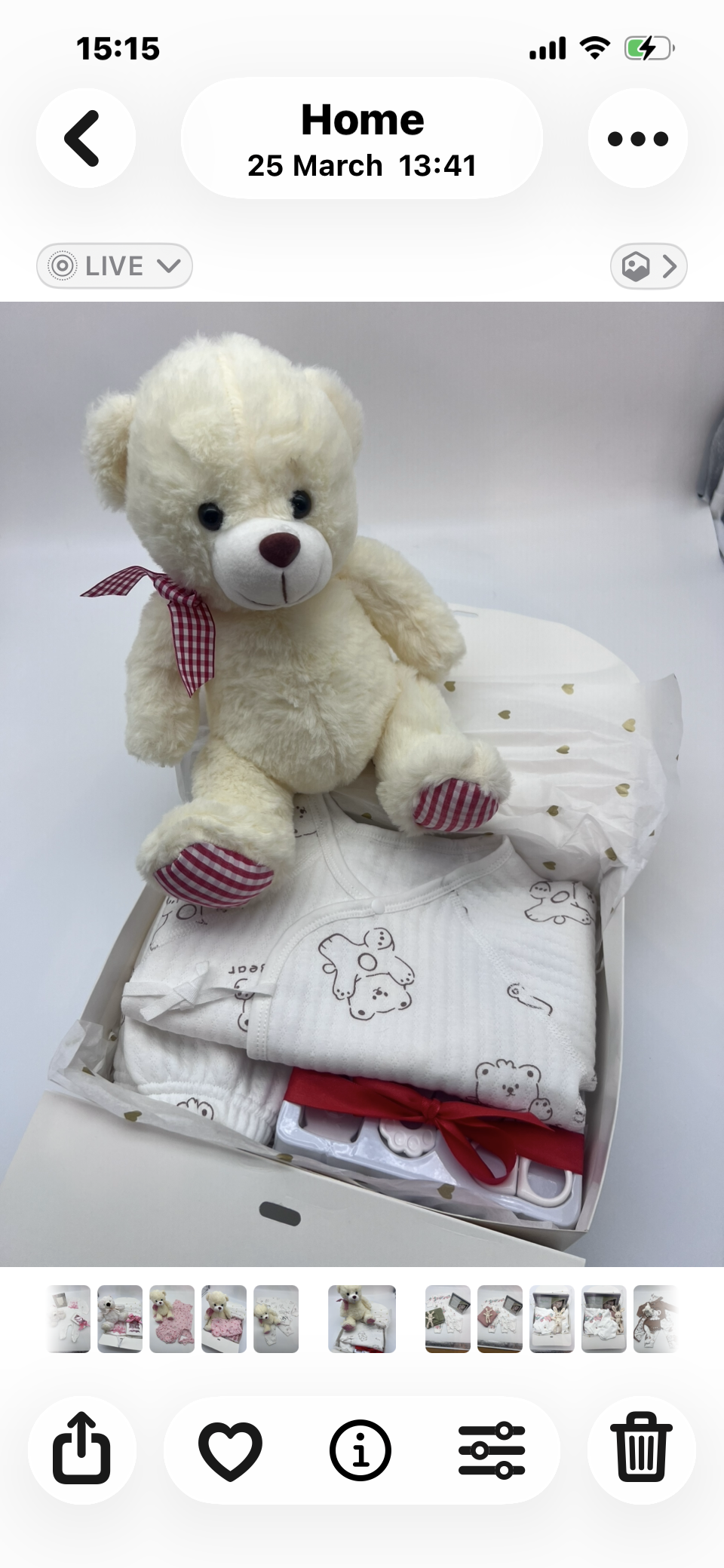 Cuddle Bear - 62