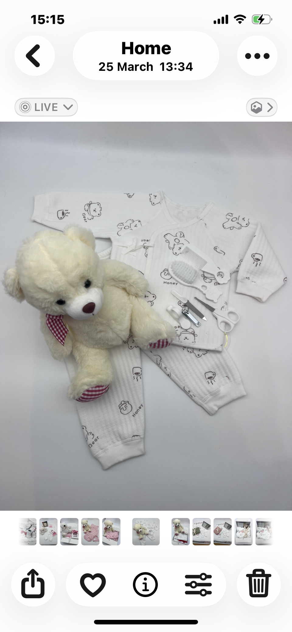 Cuddle Bear - 62