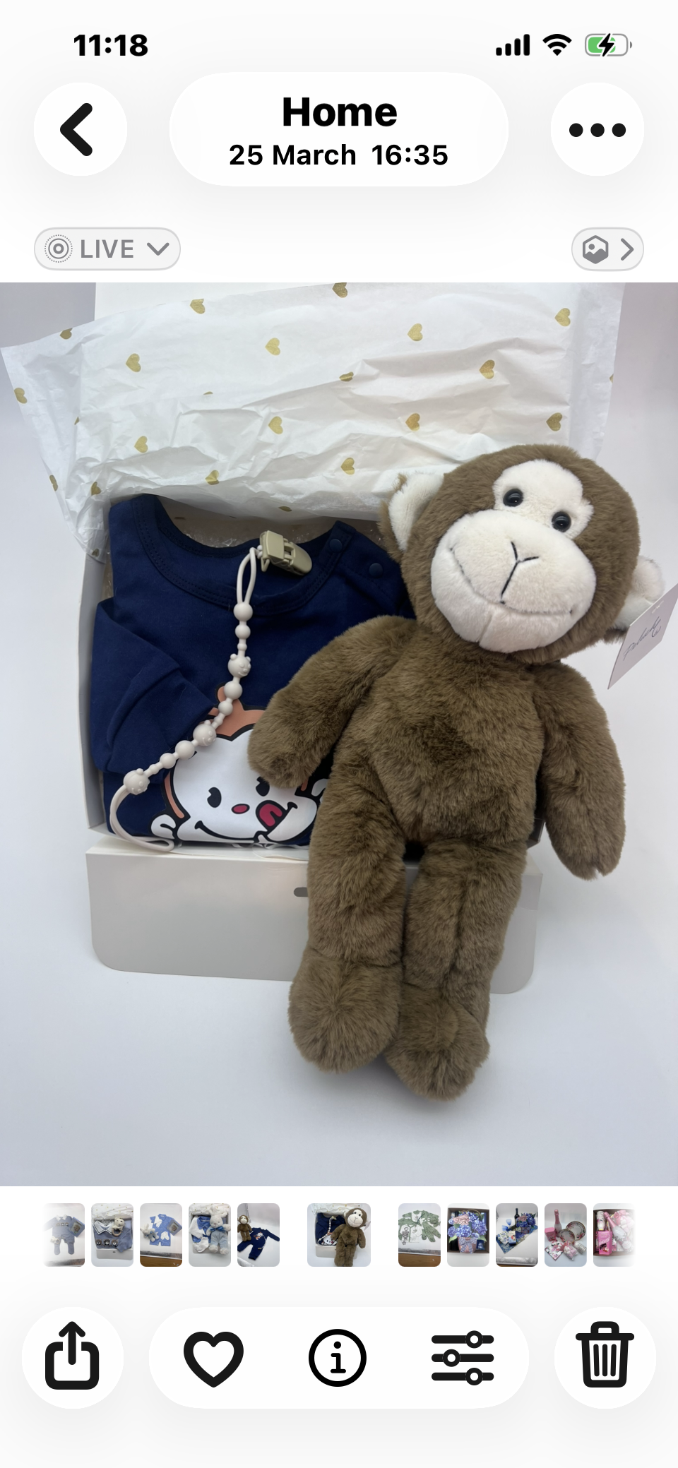 Cheeky monkey - 68